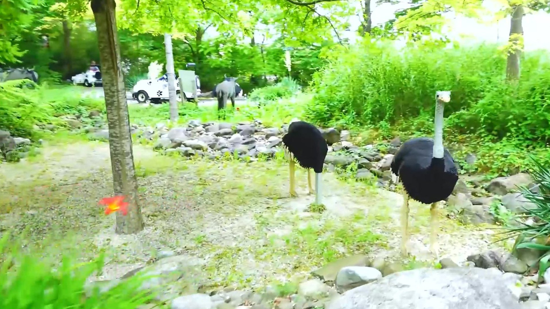 تماشای قسمت بعد